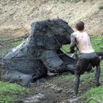 Rớt nước mắt với màn giải cứu chú voi bị mắc kẹt trong bùn