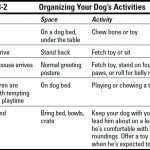 Ten Ways to Become Your Dog’s Leader