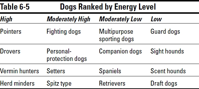 Interpreting Your Dog’s Breed-Specific Traits