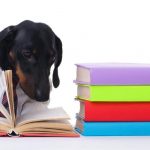 Ten Dachshund-Focused Books and Web Sites