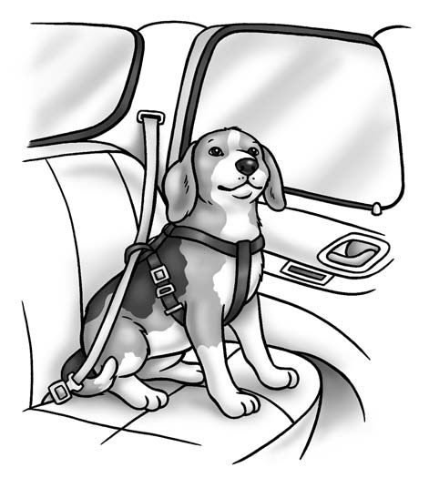 Traveling (or Not) with Your Beagle