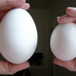 Bà bầu ăn trứng ngỗng như thế nào mới đúng?