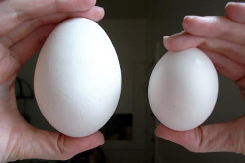 Bà bầu ăn trứng ngỗng như thế nào mới đúng?