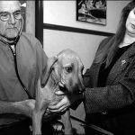 Preventing and Treating Diseases: Working with Your Vet