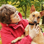 Caring for an Aging Dog