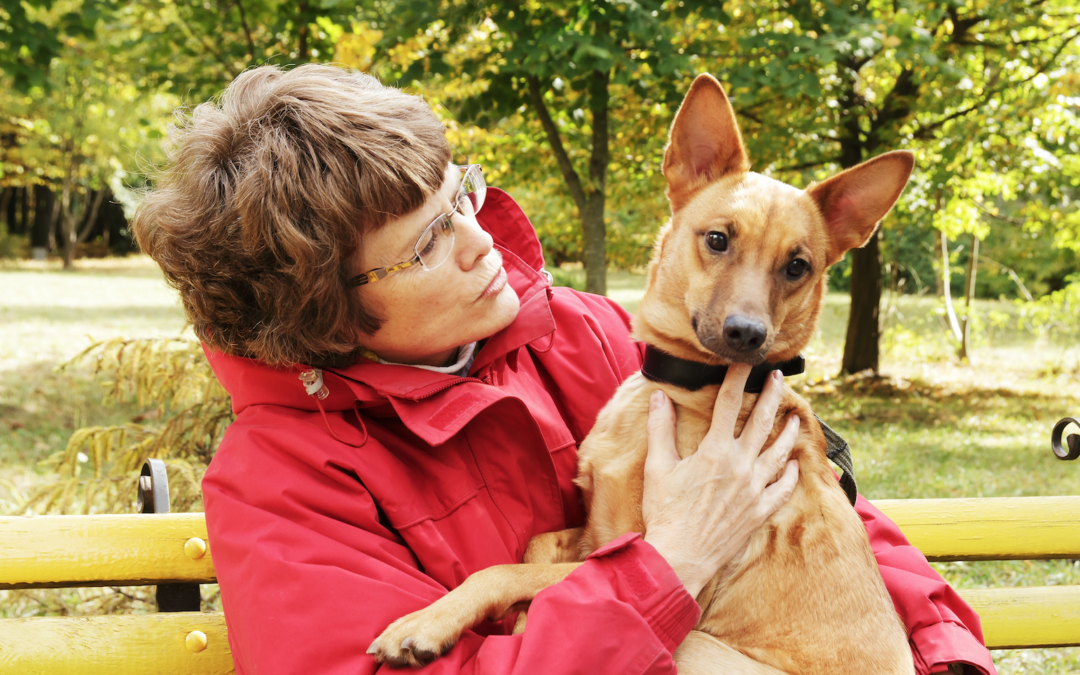 Caring for an Aging Dog