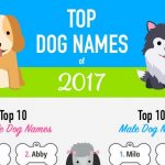 Top Tên Dog (Chó) năm 2017