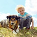 Ten Fun Activities You and Your Mixed Breed Can Enjoy Together
