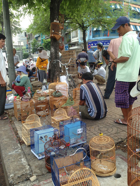 Những khu chợ chim náo nhiệt ở Sài Gòn
