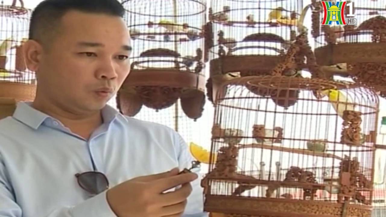 Cafe chim bên Hồ Thuyền Quang