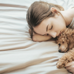 Lý do thú cưng của bạn không nên ngủ trên giường của bạn