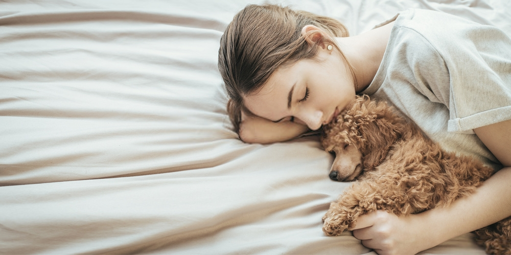 Lý do thú cưng của bạn không nên ngủ trên giường của bạn