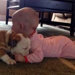 Chú cún con và em bé kiss nhau dễ thương quá