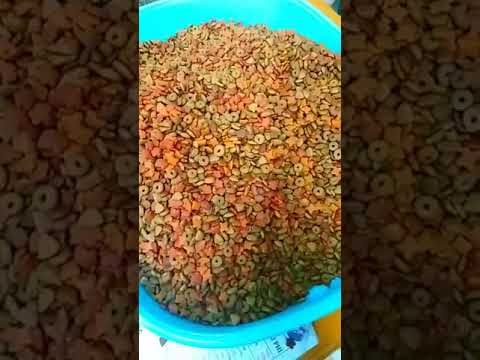 Trộn hạt khô cho mèo